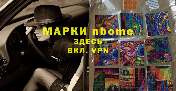 сатива Балахна
