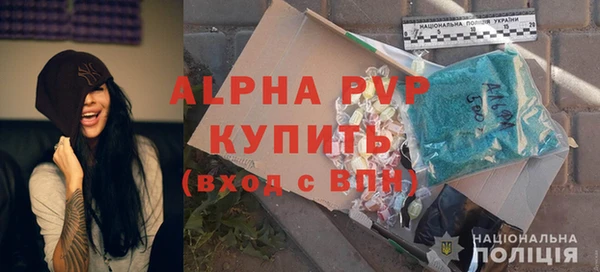 сатива Балахна