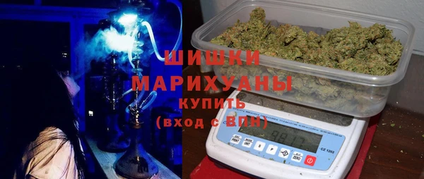 сатива Балахна